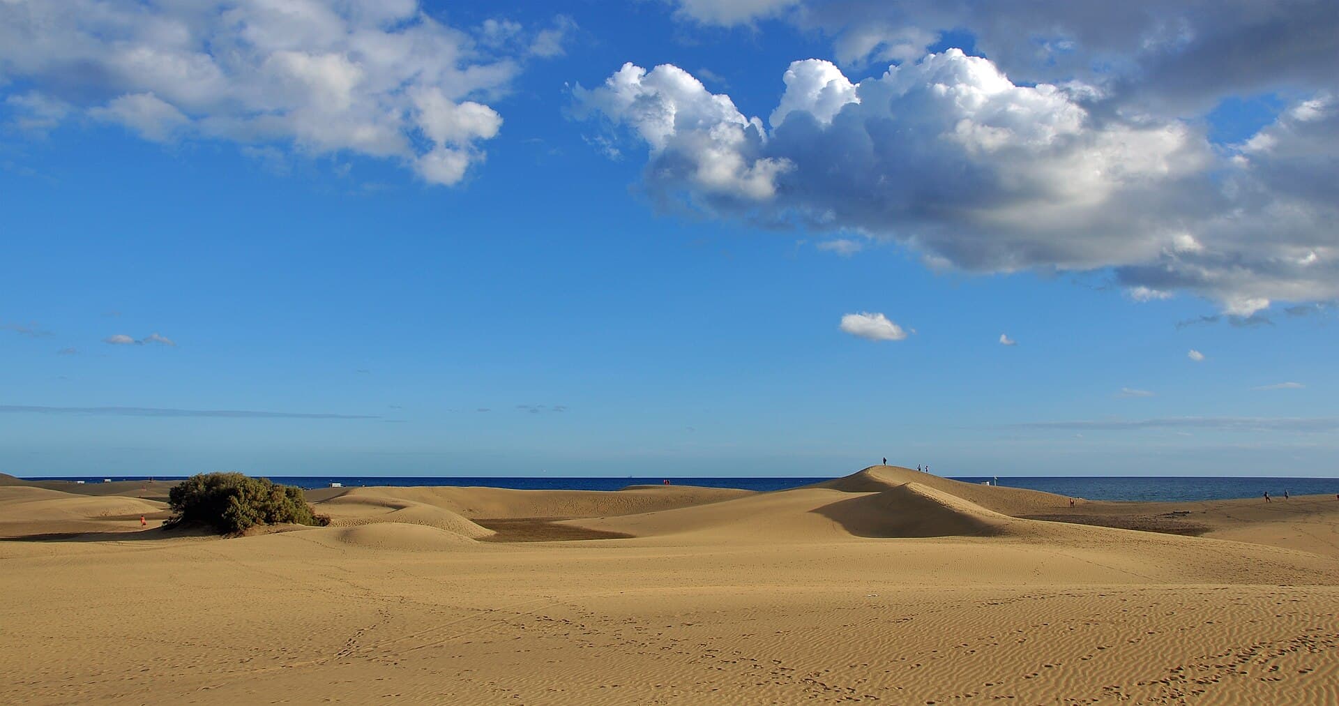 Dunas de Maspalomas con la vegetación y el mar al fondo, en Gran Canaria